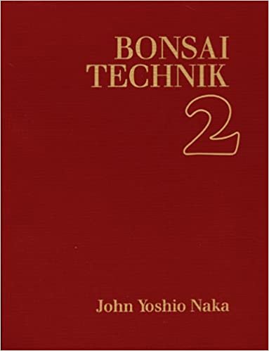 „Lichtwechsel“ von Miki Sakamoto