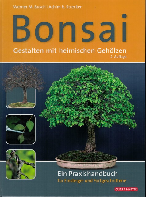 „Lichtwechsel“ von Miki Sakamoto